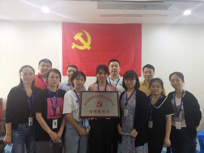 中共深圳市深巨元信用咨詢有限公司支部委員會(huì)成立暨選舉大會(huì)順利召開！